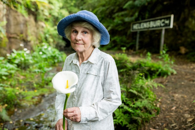 This Halloween, pick a death lily post image